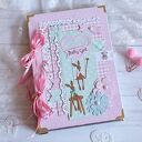 Baby girl/pamiętnik osobisty mamy wykonany ręcznie