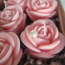 Piekny zestaw upominkowy świec sojowych