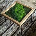 Stolik z Mchem i Świetlikami LED 50x50 cm Szkło Hartowane