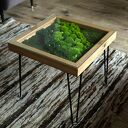 Stolik z Mchem i Świetlikami LED 50x50 cm Szkło Hartowane