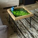 Stolik z Mchem i Świetlikami LED 50x50 cm Szkło Hartowane