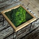 Stolik z Mchem i Świetlikami LED 50x50 cm Szkło Hartowane