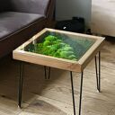 Stolik z Mchem i Świetlikami LED 50x50 cm Szkło Hartowane