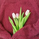 Klasyczny sweter, reglanowy rękaw - ciemna fuksja