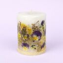 Żółto - fioletowa świeca botaniczna z bratkami i pierwiosnkiem