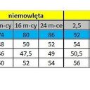 Bluza dresowa szara różowy puzel