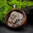 Wisiorek „Muszla morska” z brzozy - pirografia i naturalna muszla