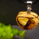 Wisiorek „Bursztyn Żywiołów” z drewna octowca - pirografia i naturalny bursztyn