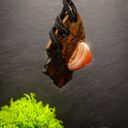 Wisiorek „Wierzbowy Karneol” - pirografia w drewnie, handmade