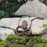 złote wisiorki z wężem miedziany wisiorek wąż kwarc z rutylem #350 postarzany