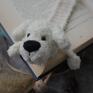biały piesek - maltańczyk mola pies zakładka dla dziecka