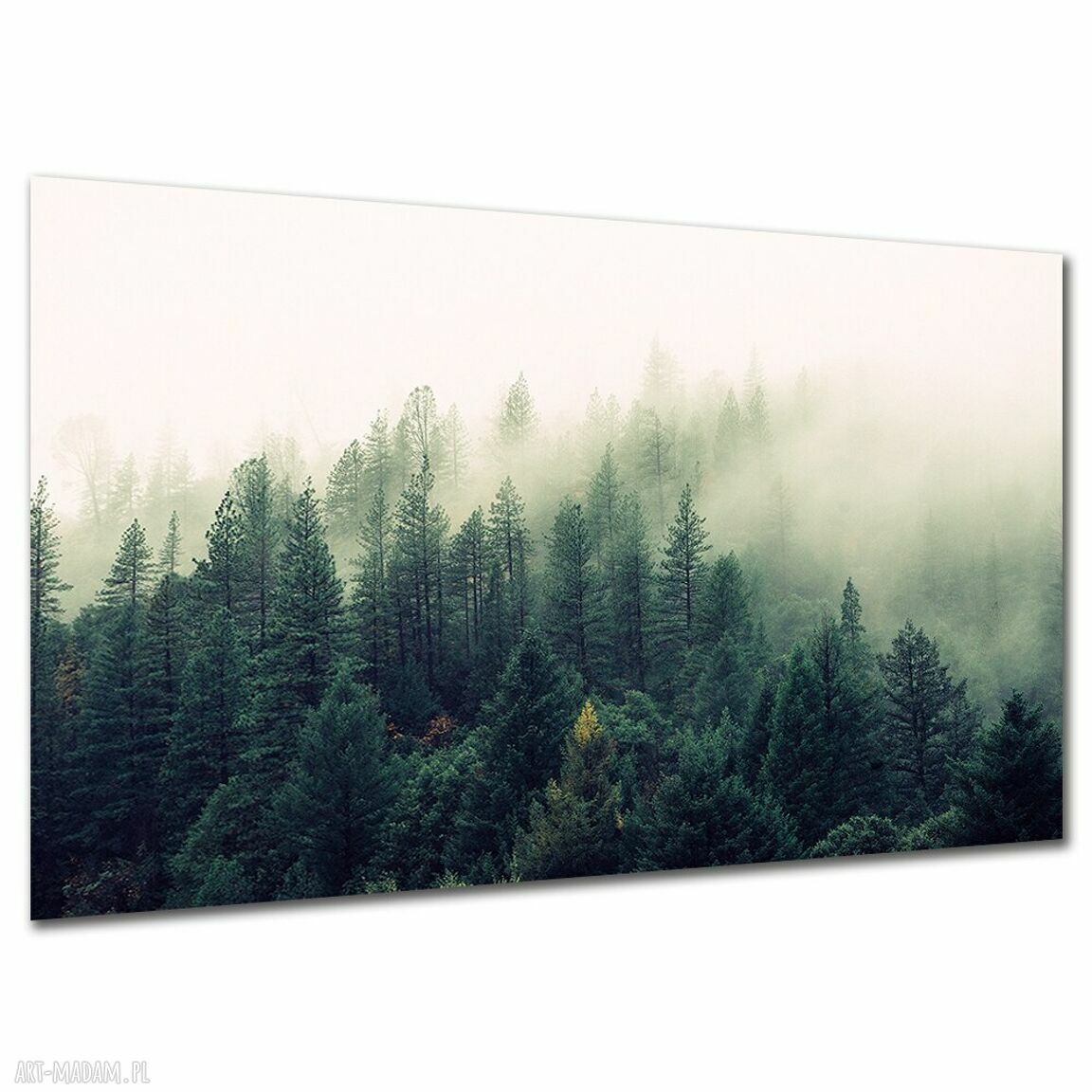 Obraz do sypialni LAS L4 120x80 cm we mgle w stylu loft