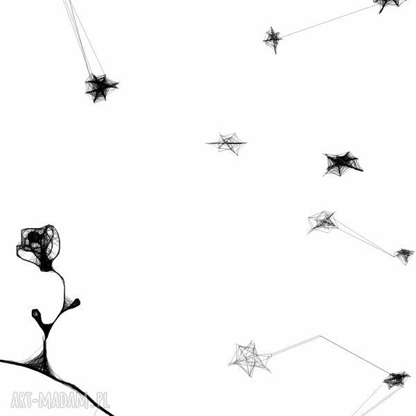 Grafika 135 - inspiracja Mały Książę (40x30 cm)