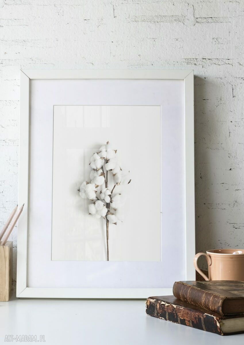 Plakat 40x50 cm białe pąki bawełny - minimalistyczny plakat botaniczny