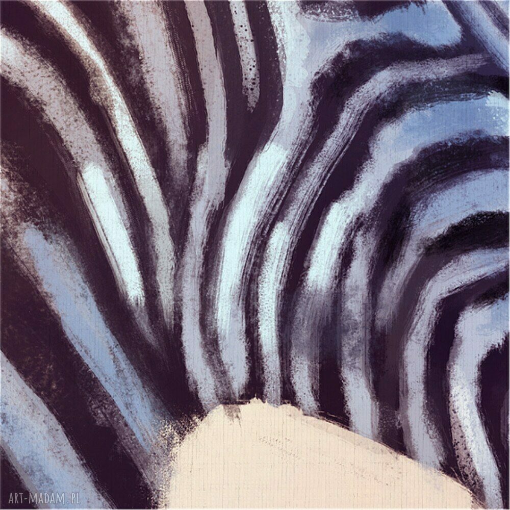 Obraz Afryka - Zebra na płótnie 70x50 cm, gotowy do powieszenia