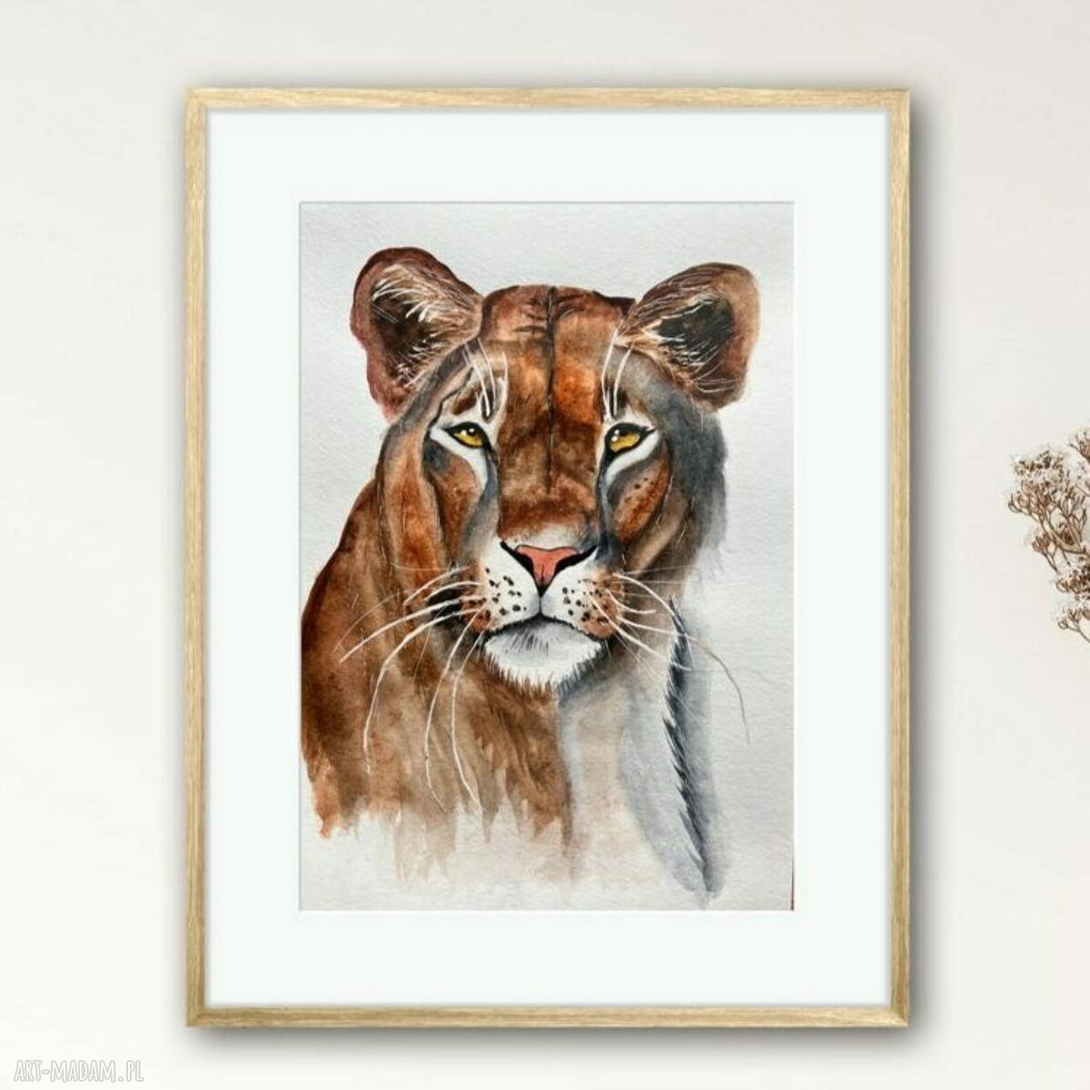 Akwarela A4 - Lwica z zoo Yunona Kucherevska (bez ramki)