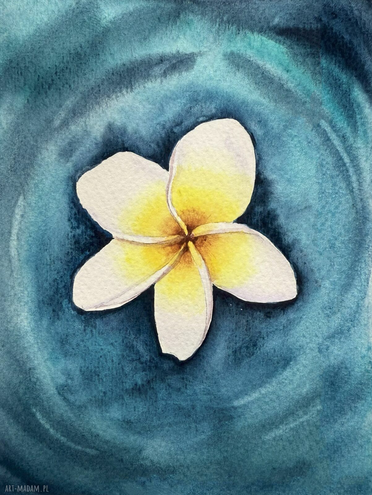 Akwarela A5 Kwiat Frangipani na Wodzie