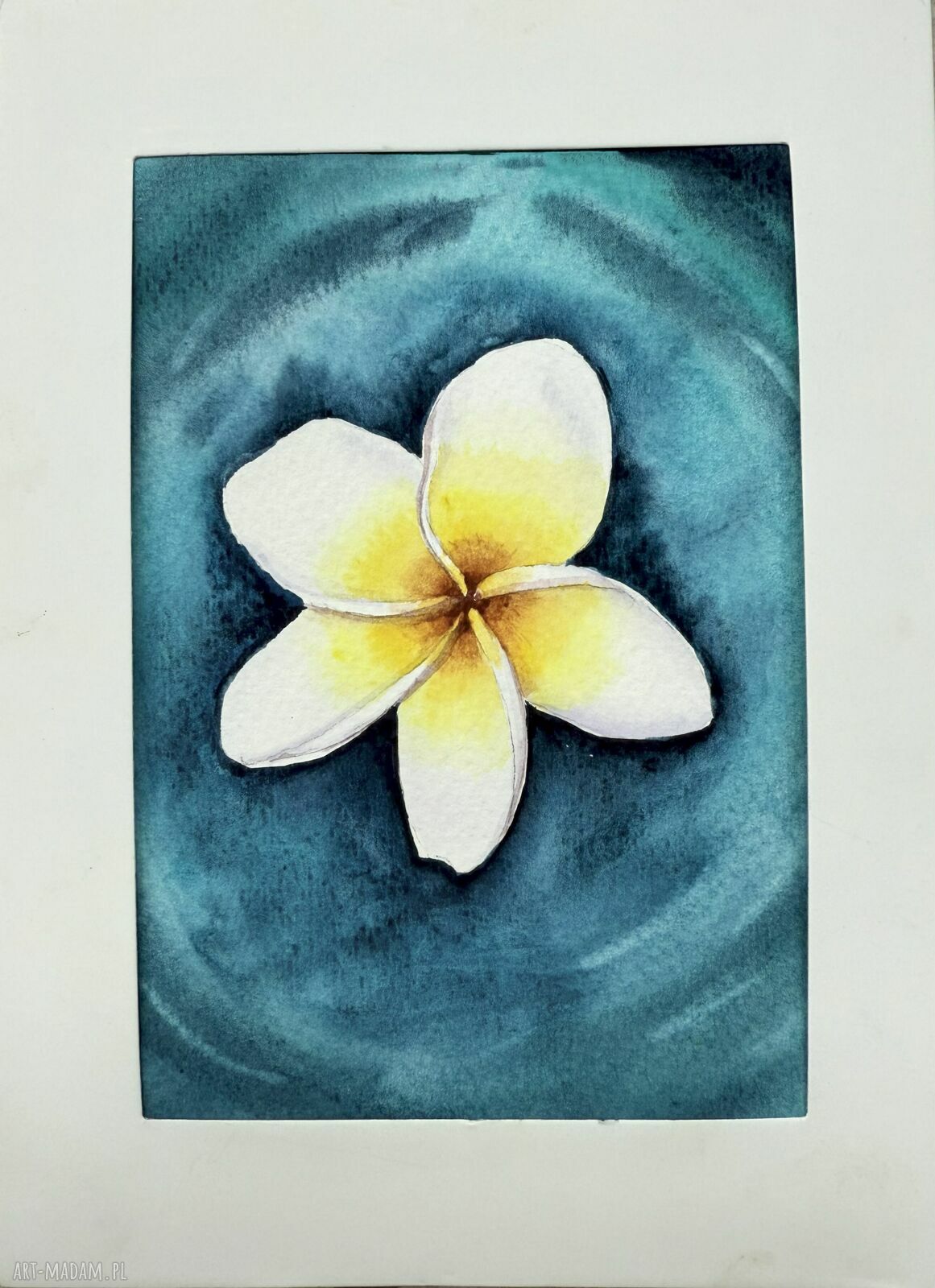 Akwarela A5 Kwiat Frangipani na Wodzie