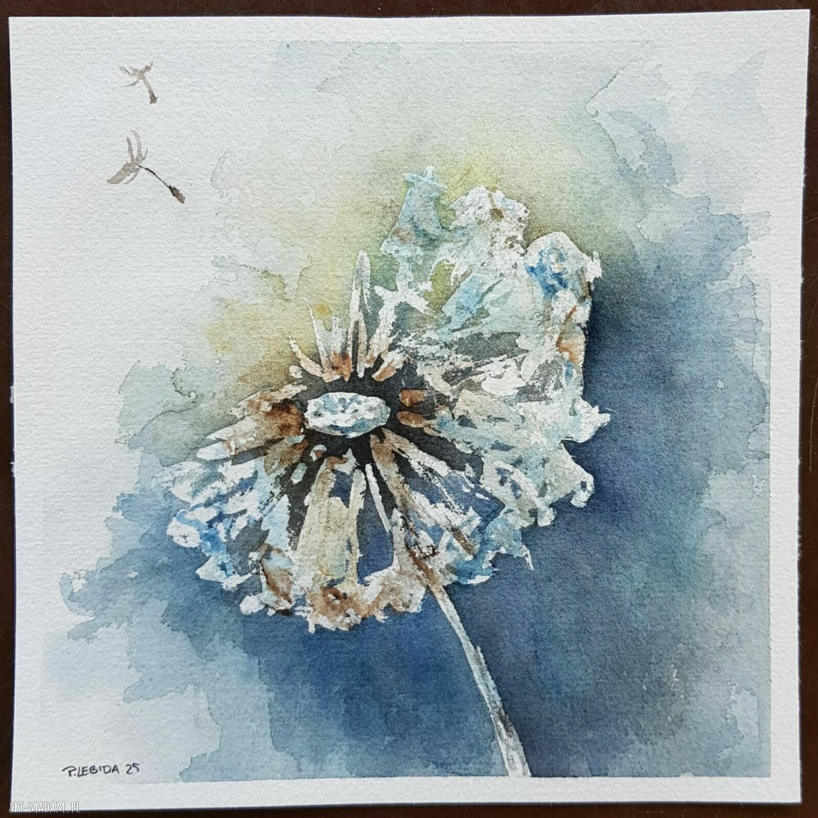Dmuchawiec - oryginalna akwarela 20 x 20 cm