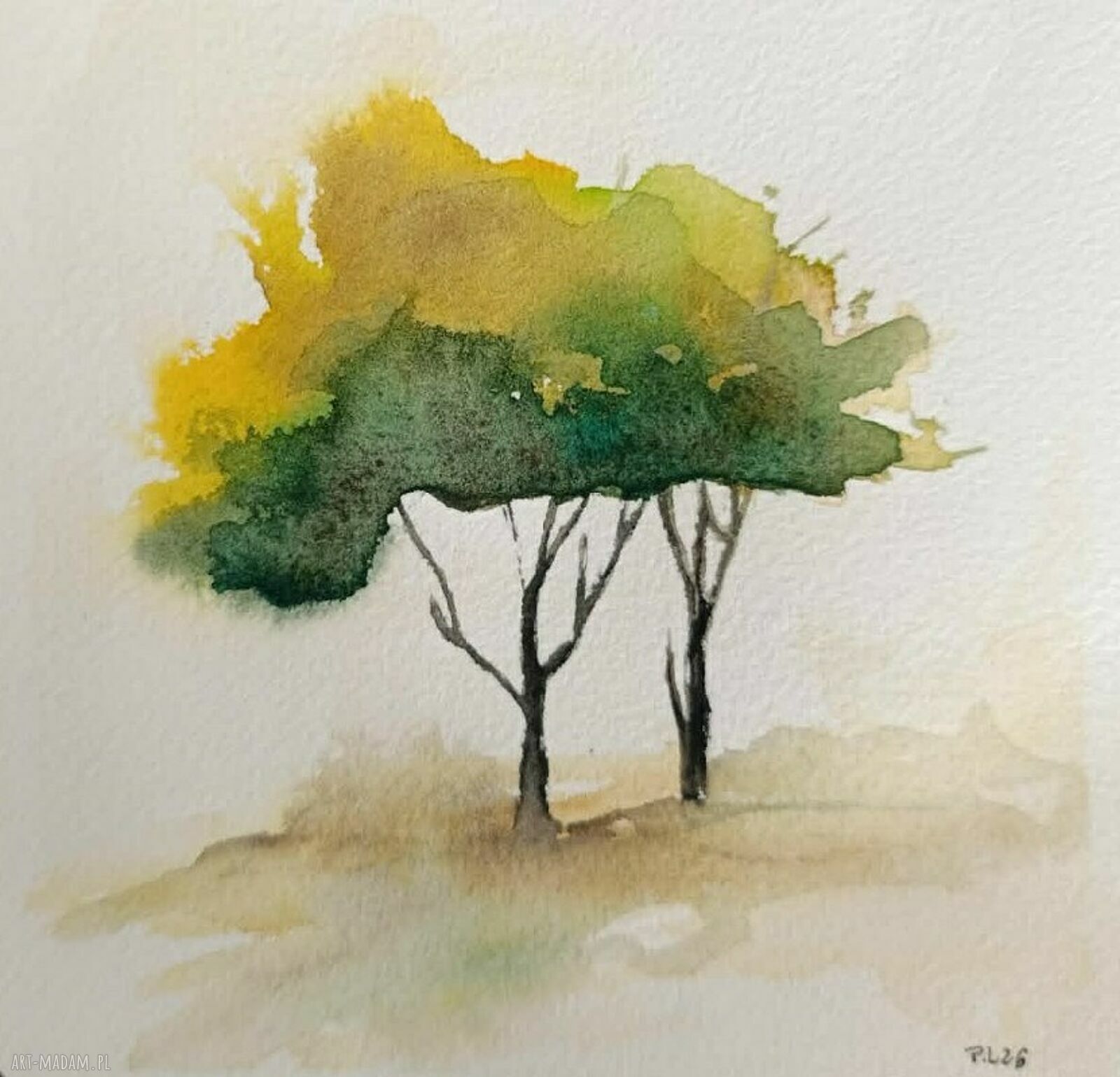 Drzewa - akwarela 15x15 cm (kwadrat) bez ramy