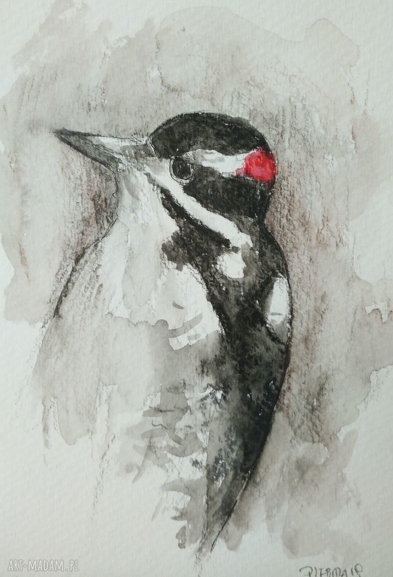Dzięcioł - akwarela formatu 12,5 x 18 cm