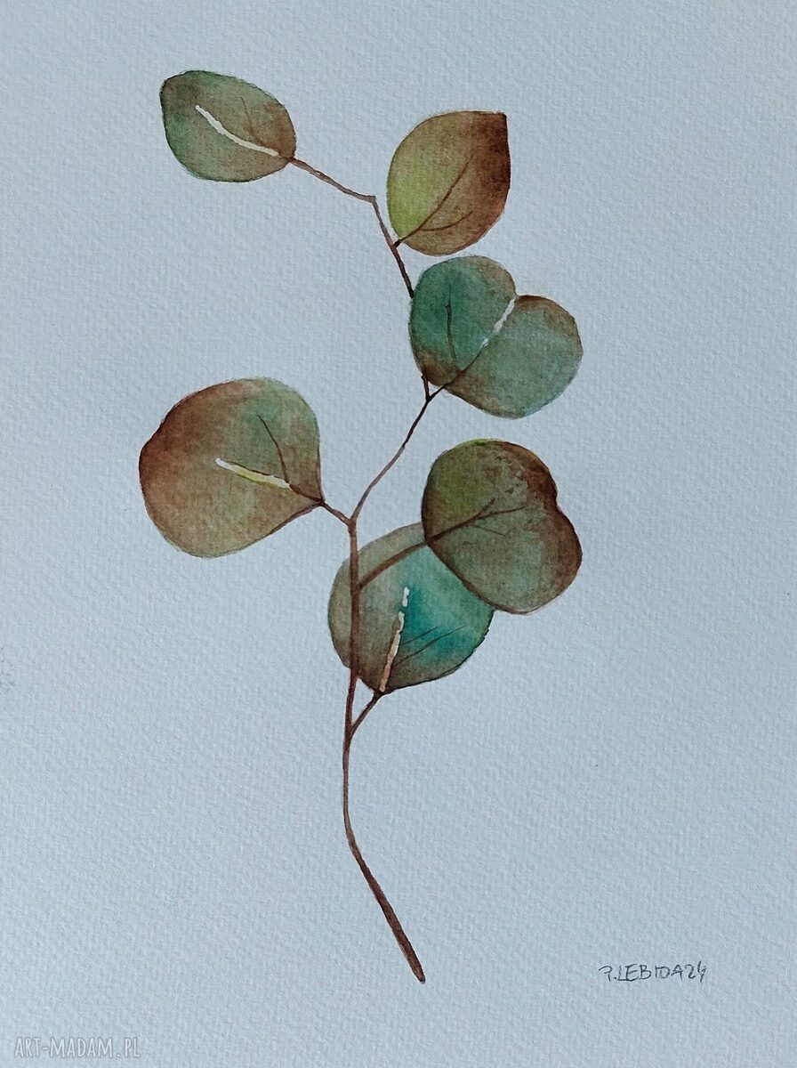 Eukaliptus - oryginalna akwarela 24x18 cm (sygnowana)