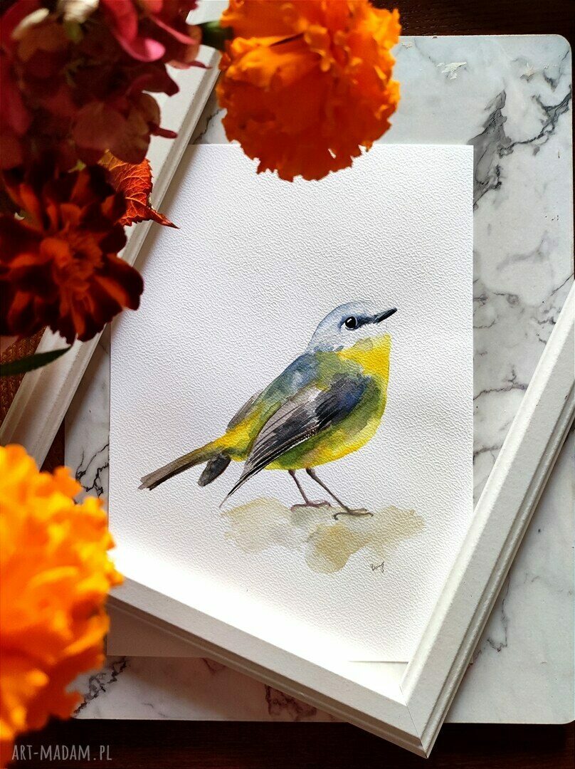 Akwarela gwizdacz żółty (A4) - autorska ilustracja do domu