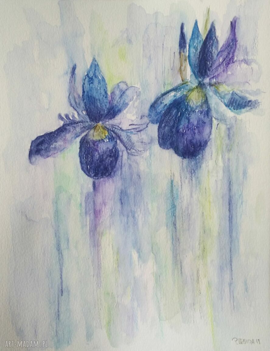 Irysy - akwarela formatu 24/32 cm