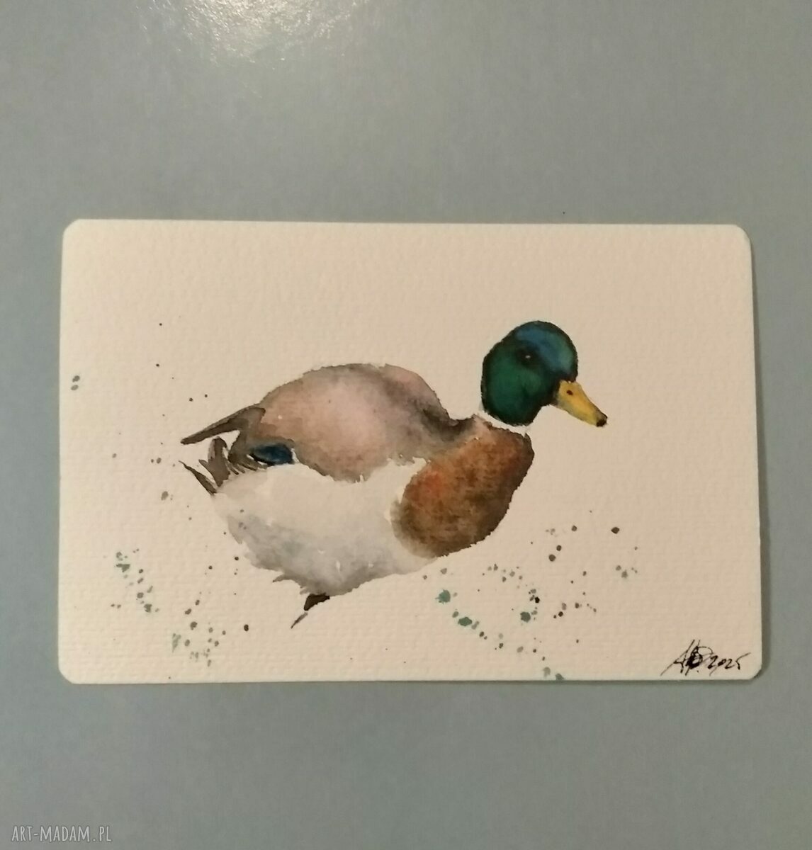 Kaczor akwarela 10 x 15 cm - obraz ręcznie malowany na papierze 250 g