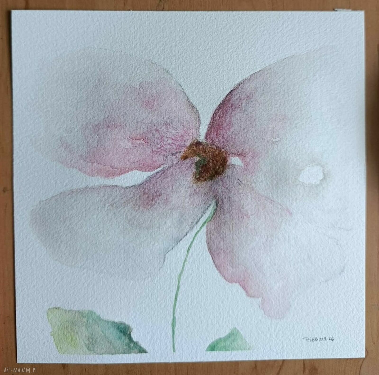 Różowy kwiat - oryginalna akwarela 20x20 cm
