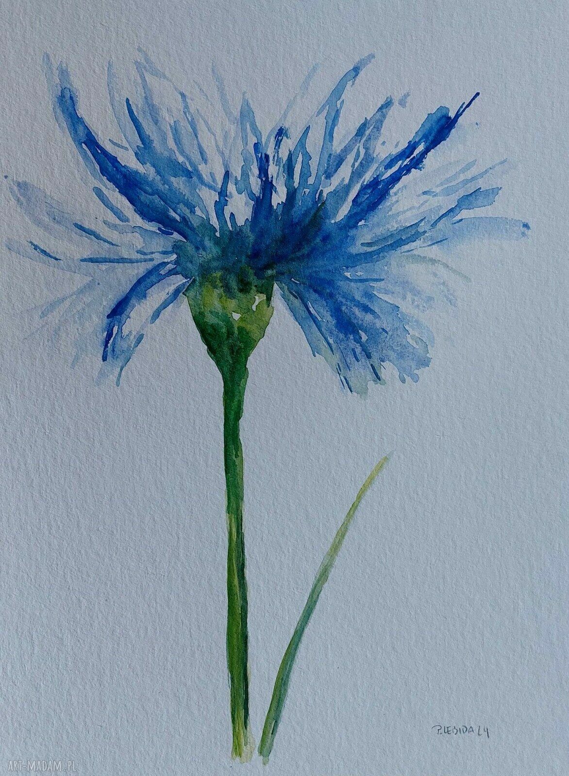 Kwiat - akwarela 32x24 cm autorstwa Pauliny Lebidy