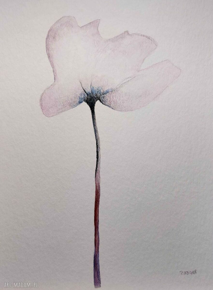 Kwiatek - sygnowana akwarela 32 x 24 cm na grubym papierze 425 g/m2