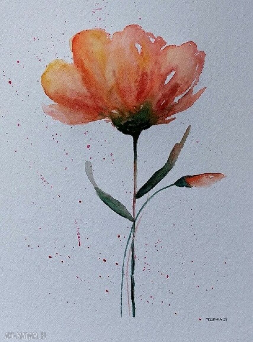 Oryginalna akwarela z kwiatkiem 32x24 cm - sygnowana