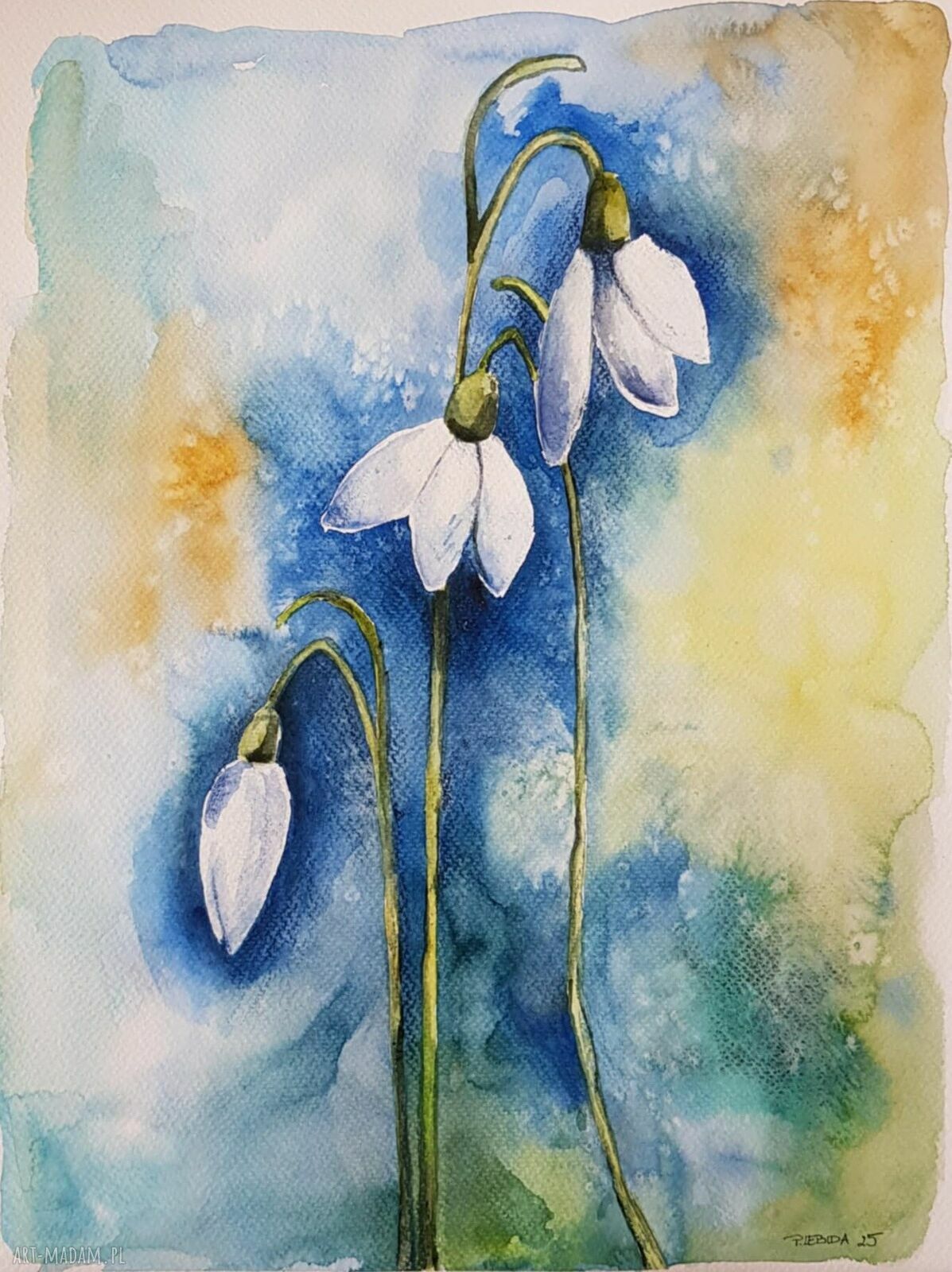 Kwiaty - akwarela formatu 40/30 cm
