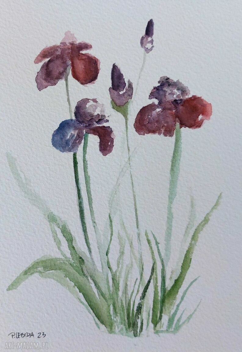 Kwiaty - akwarela w formacie A5 od Pauliny Lebidy