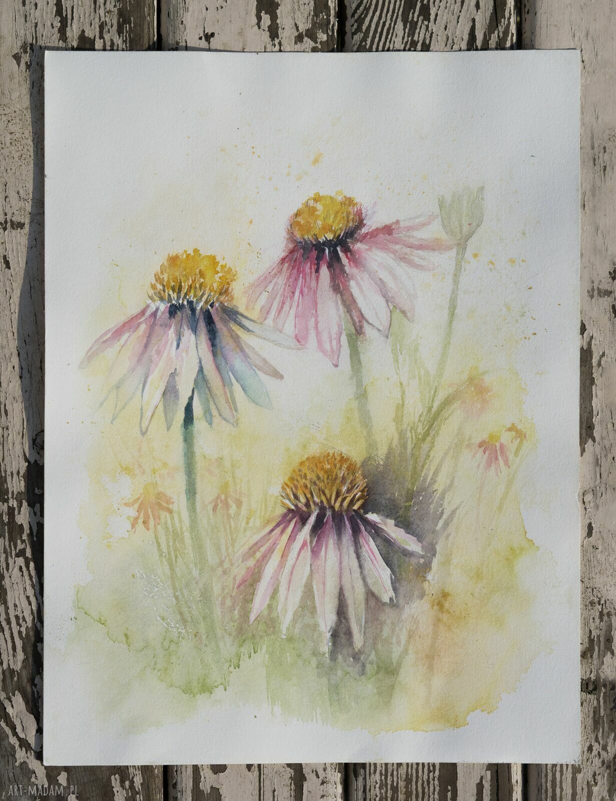 Akwarela Letnie Jeżówki - ręcznie malowany obraz 40x50 cm