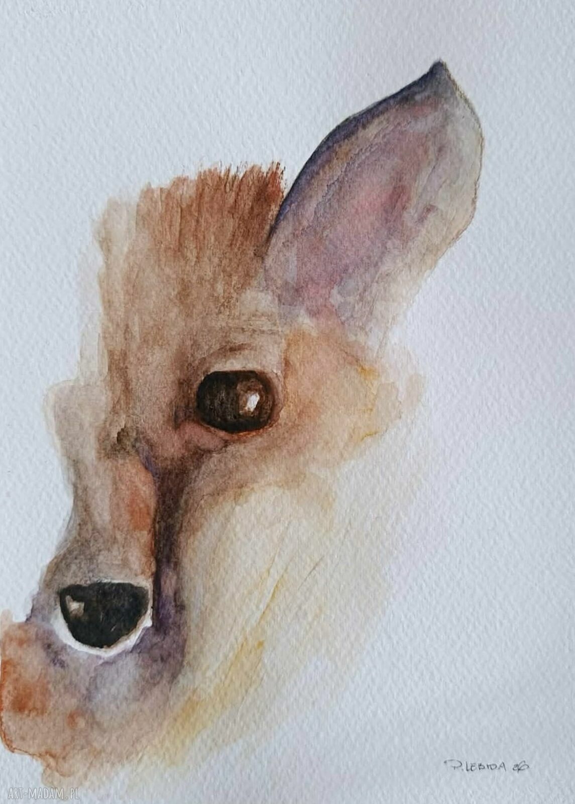 Lis - ręcznie malowana akwarela 24 x 18 cm