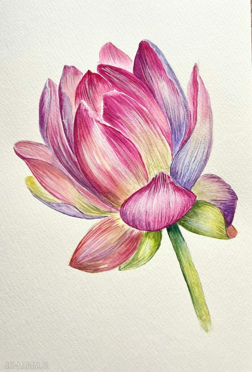 Akwarela Łotos - botaniczny minimalizm na papierze (25x18, bez ramki)