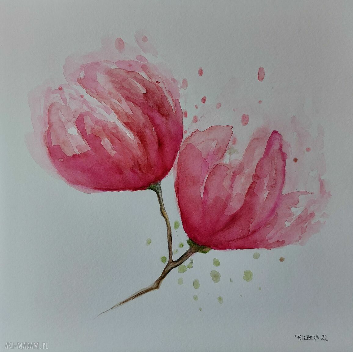 Akwarela z magnoliami 25x25 cm - oryginalny obraz w kwiatach
