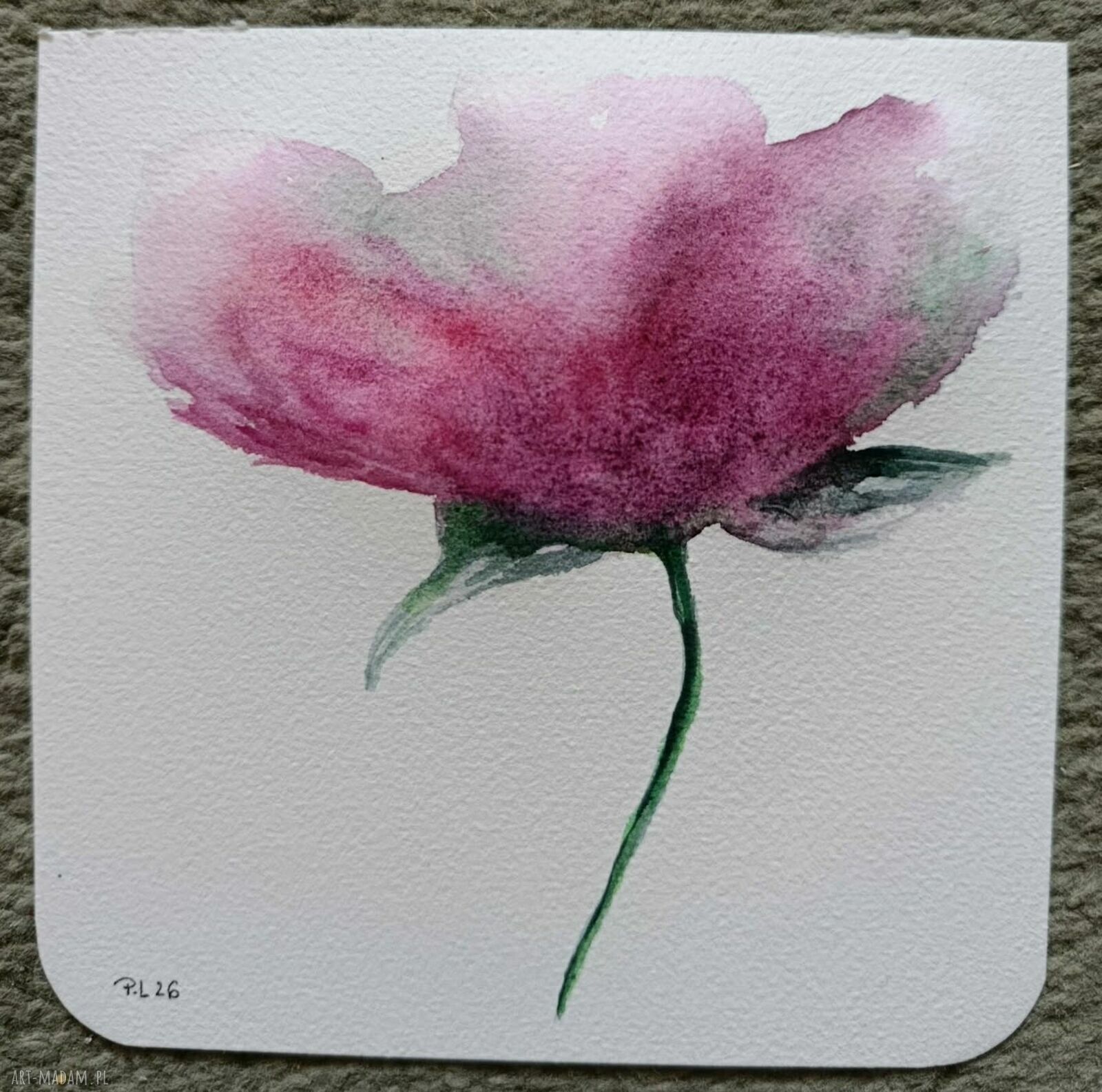 Mak-akwarela 15x15 cm - oryginalny obraz „MAK” na papierze (bez ramy)