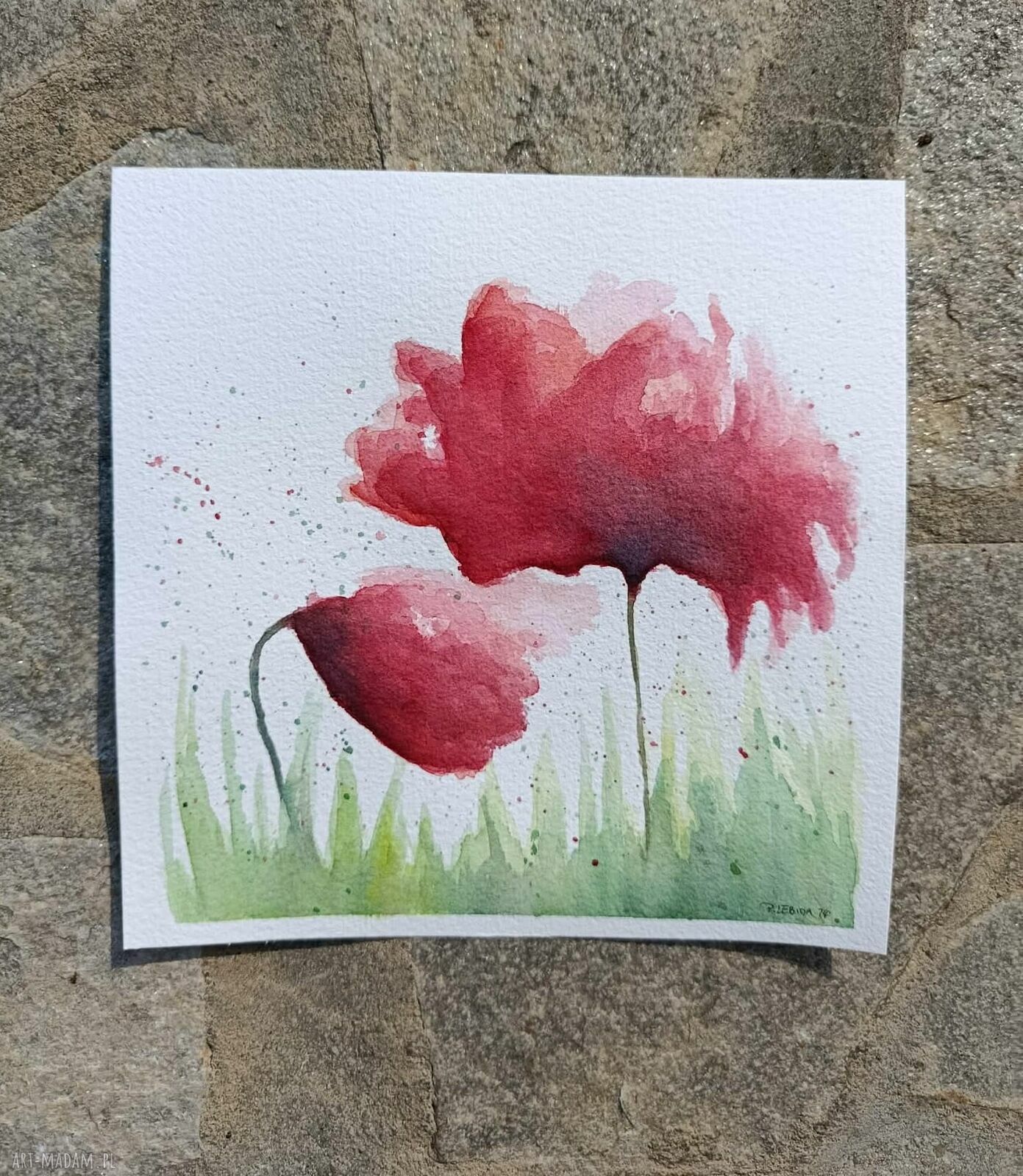 Oryginalna akwarela „Maki” 20x20 cm - sygnowana