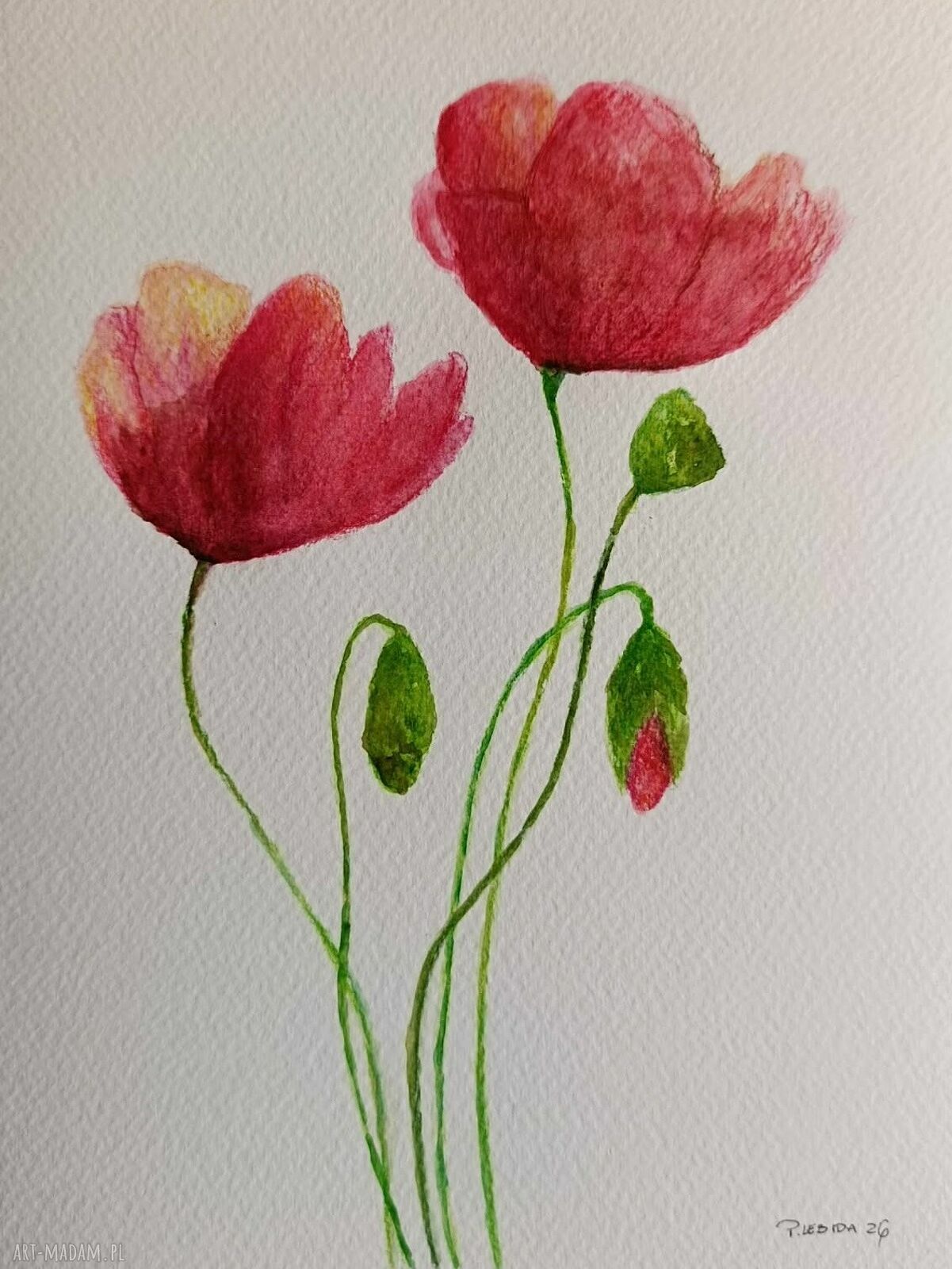 MAKI - akwarela formatu 24x18 cm