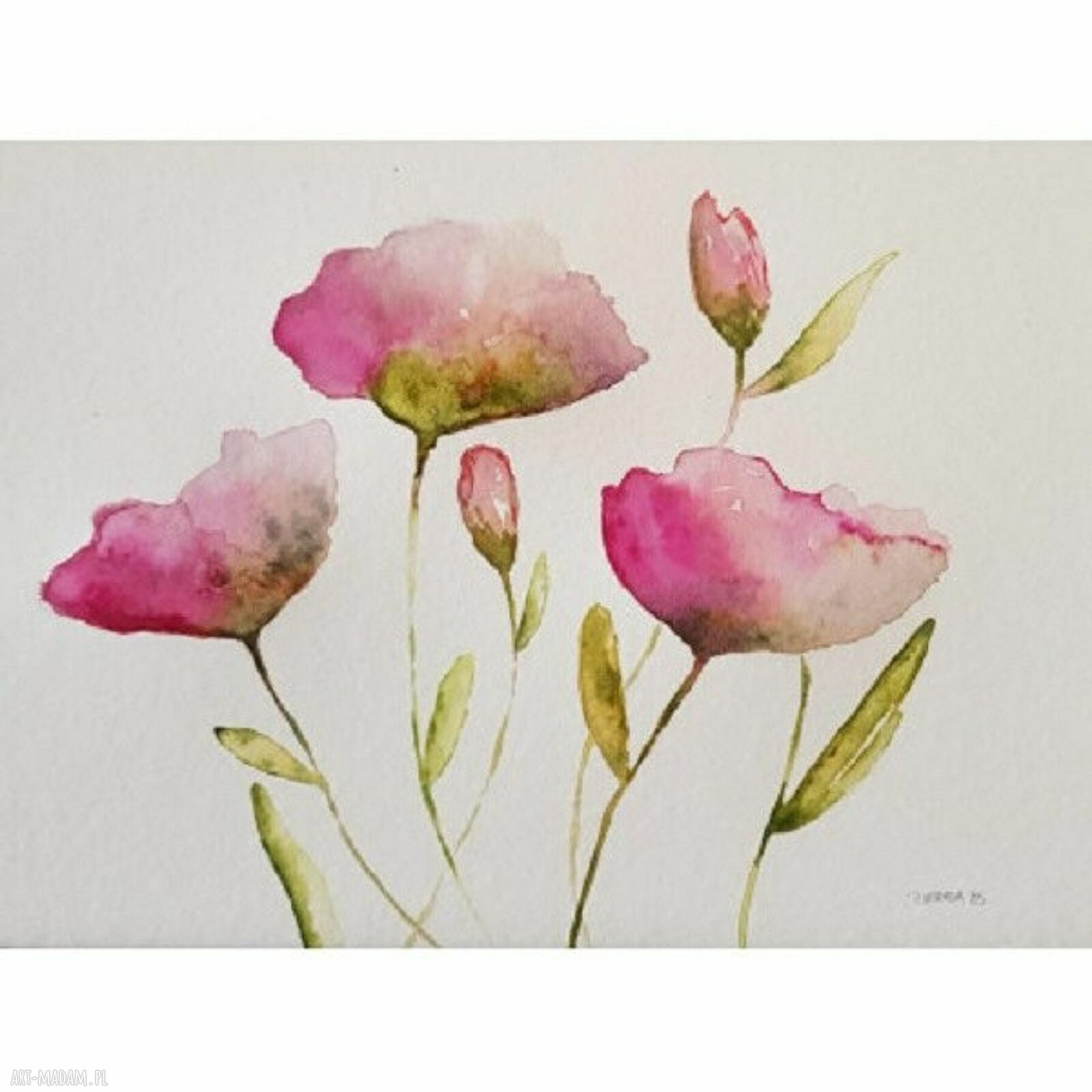 Maki - akwarela 24x32 cm, sygnowana na papierze akwarelowym 425 g/m2