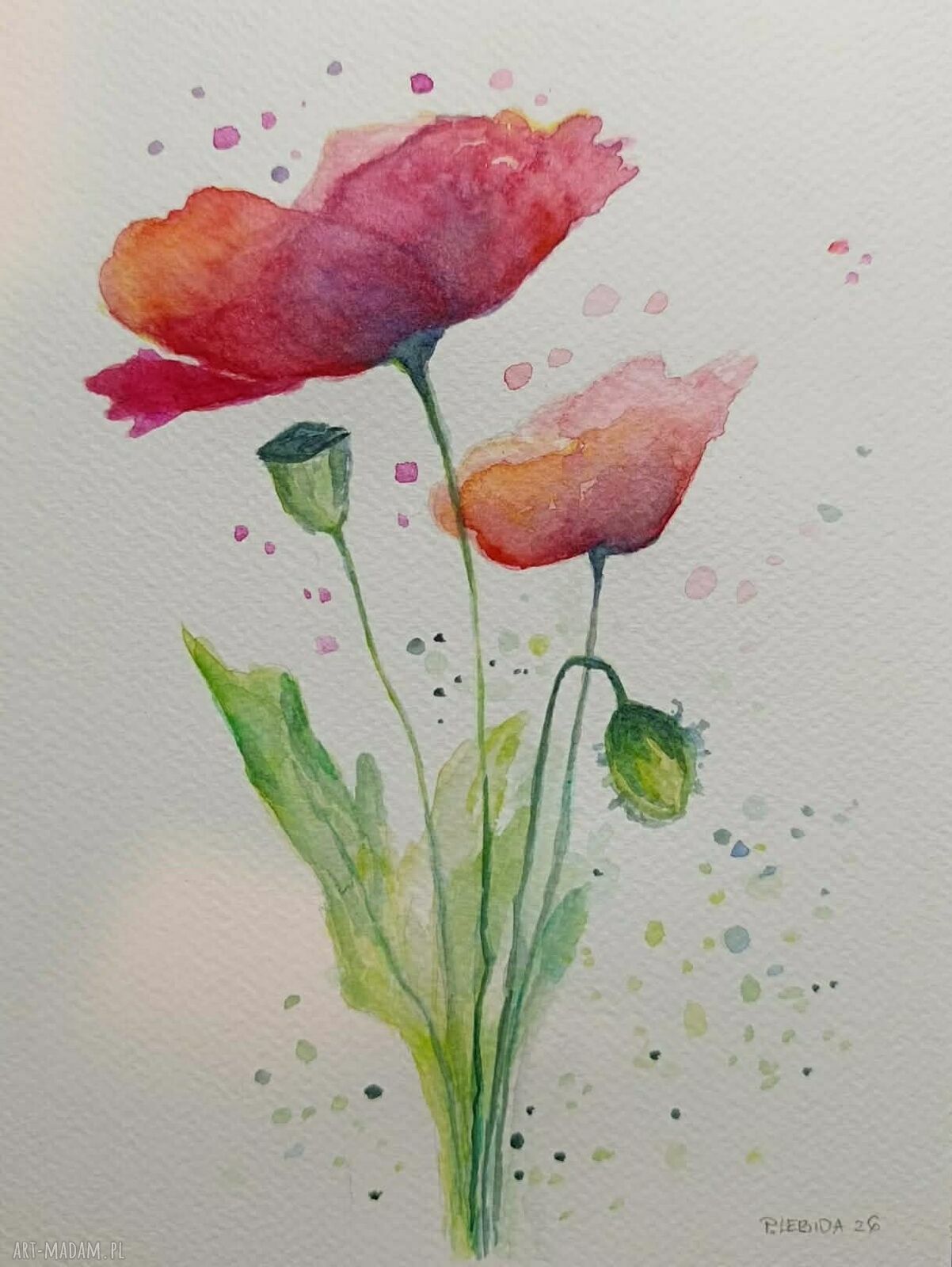 Maki - oryginalna akwarela 24/18 cm (bez ramy)
