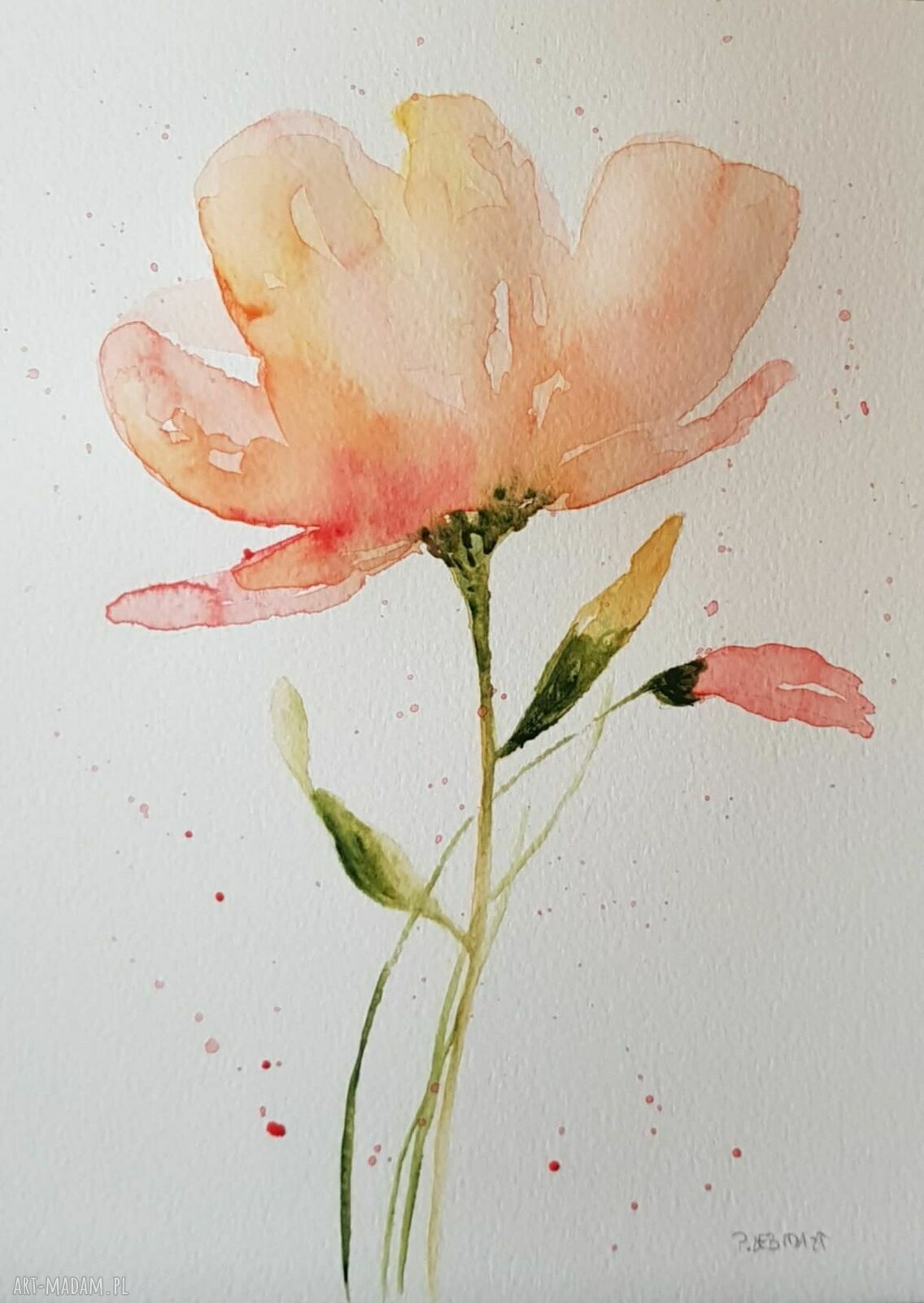 Maki - akwarela w formacie 25x18 cm (oryginalna, sygnowana)