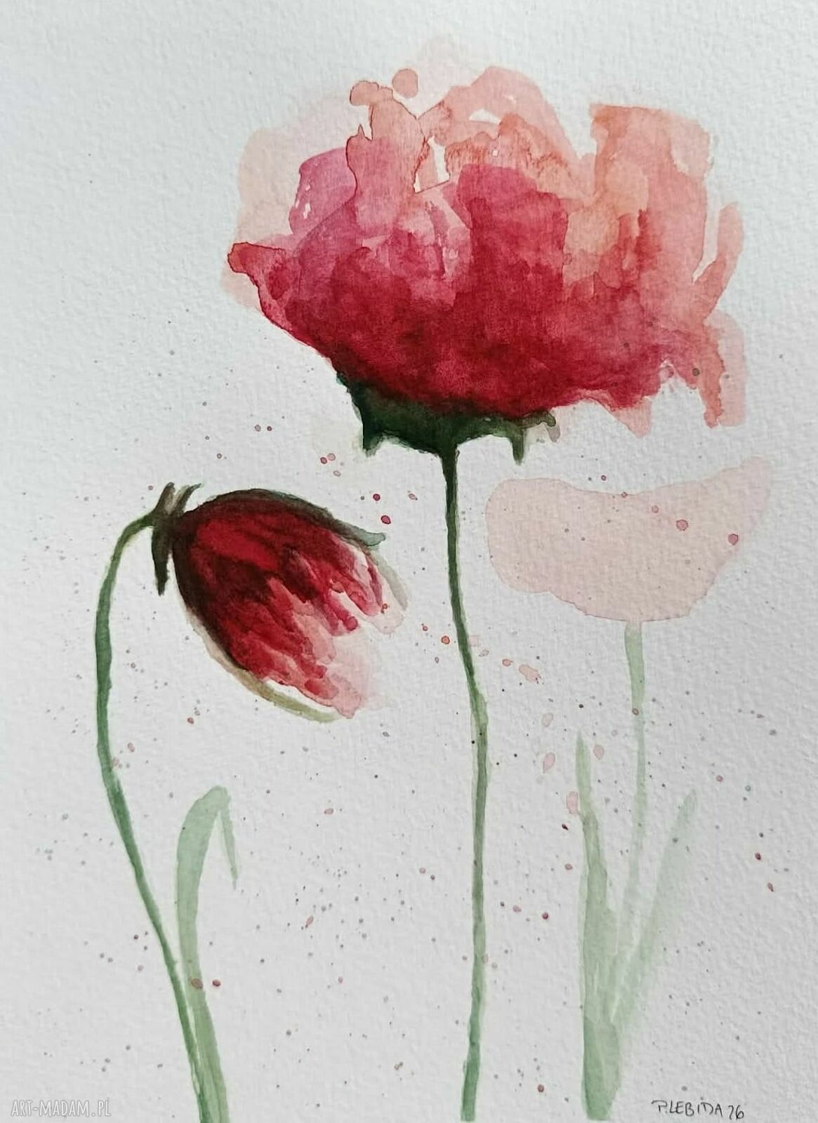 Maki - oryginalna akwarela na papierze 25x18 cm