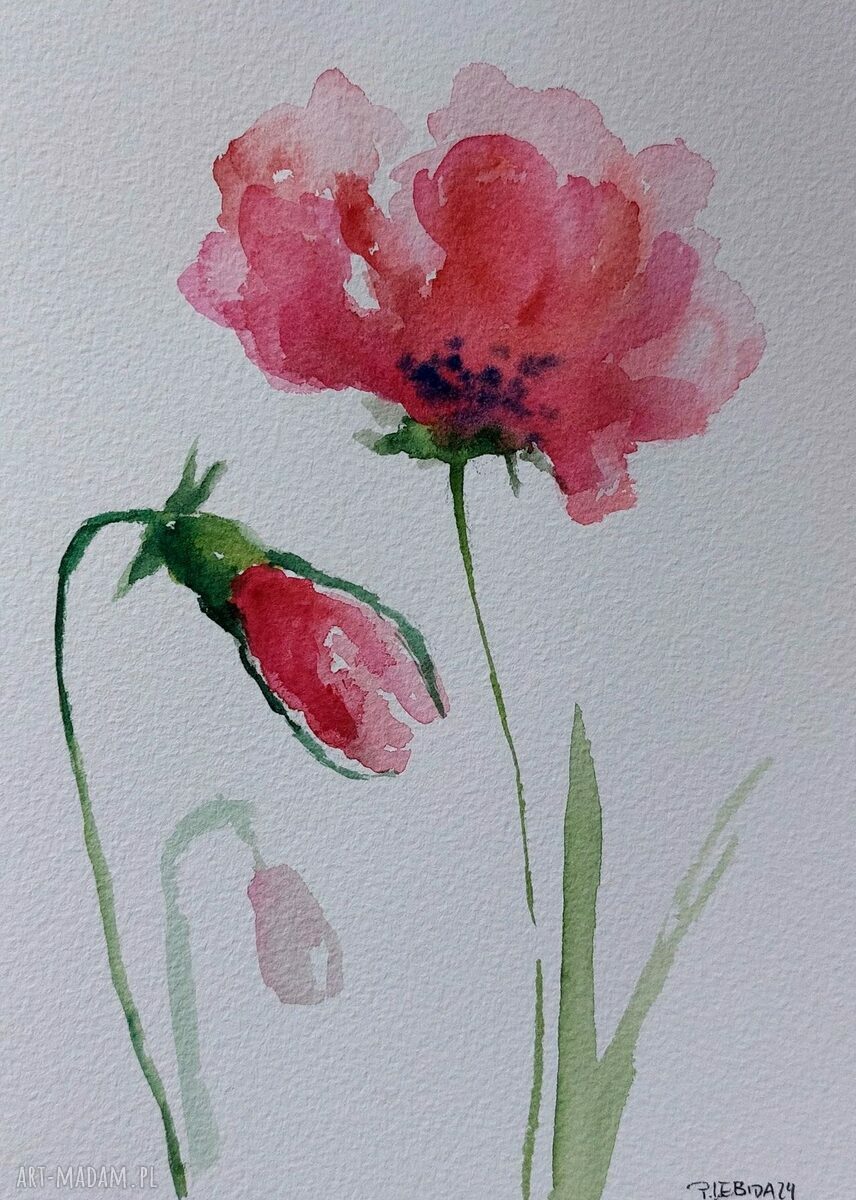 MAKI - oryginalna akwarela w formacie A5