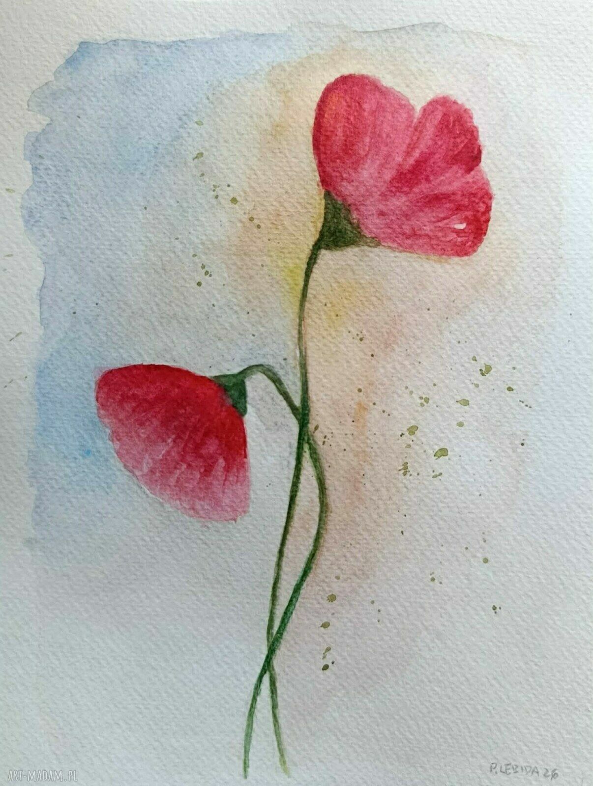 Maki - oryginalna akwarela 24 x 18 cm