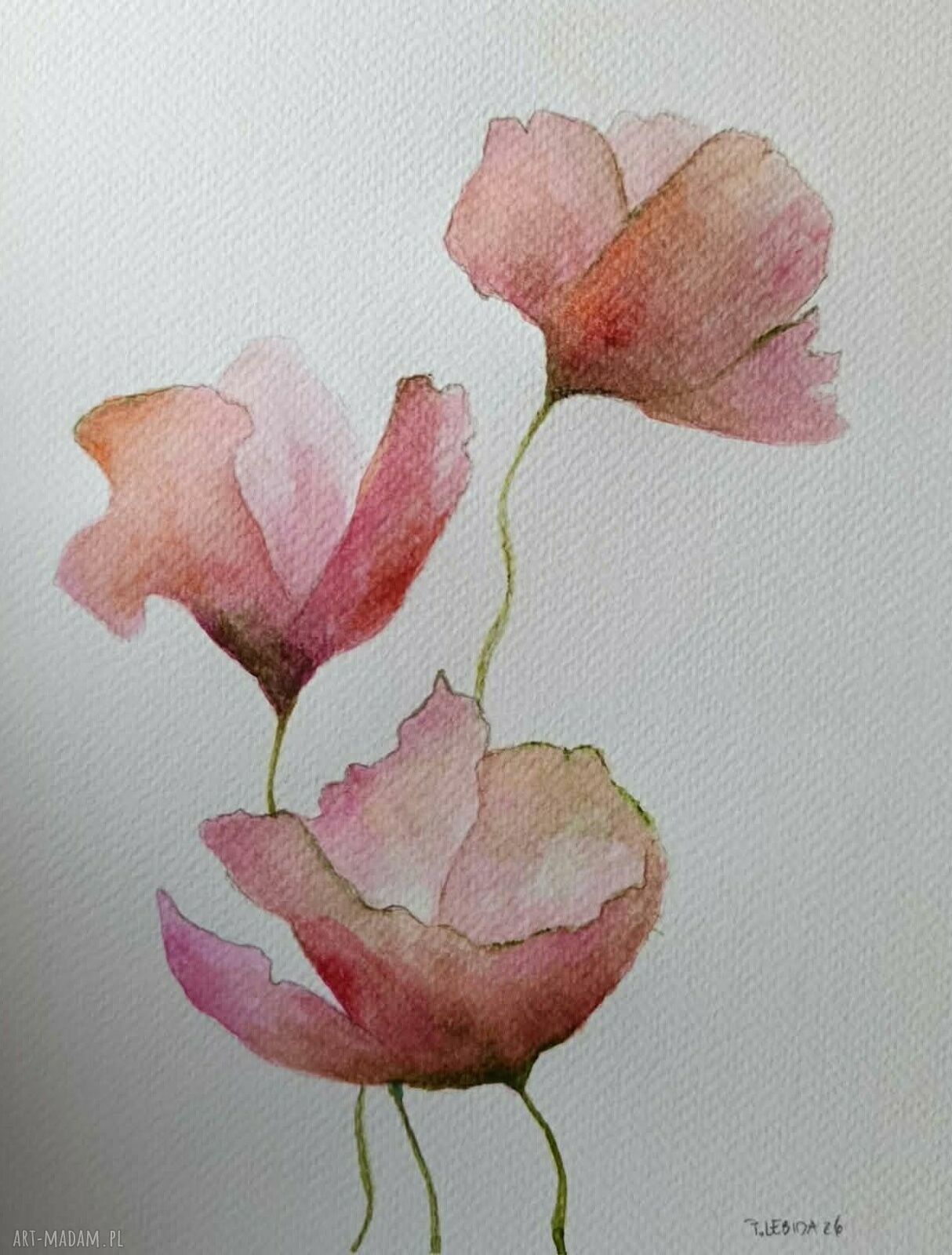 Maki - akwarela 24x18 cm (sygnowana, bez oprawy)