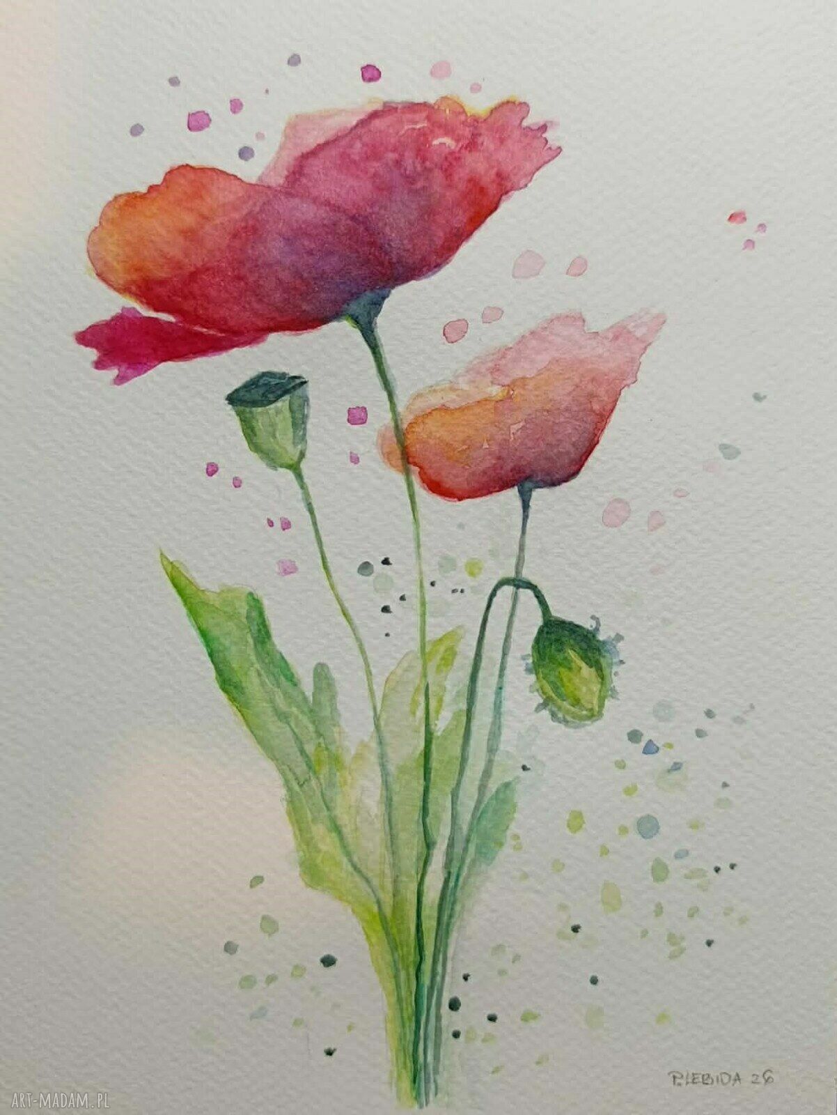 Maki - oryginalna akwarela 24/18 cm